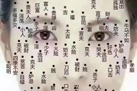 算命命中有几个子女 子女运跟下巴饱满有关