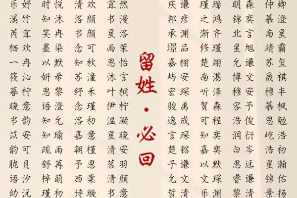 2019年3月25号午时出生的男孩应该起什么样的名字姓名