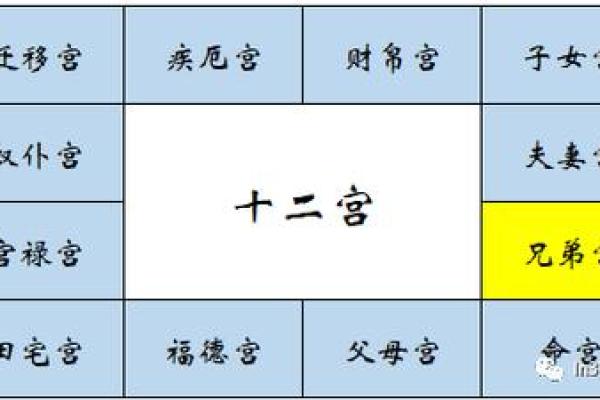 紫薇斗数二胎看哪个宫位