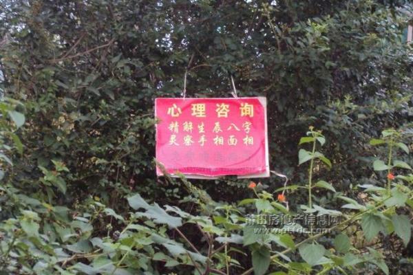 莆田涵江顶铺算命准吗