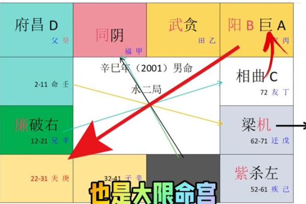 紫薇斗数流年运禄