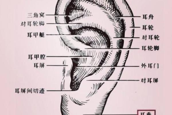 耳朵堵塞风水 耳朵堵塞风水