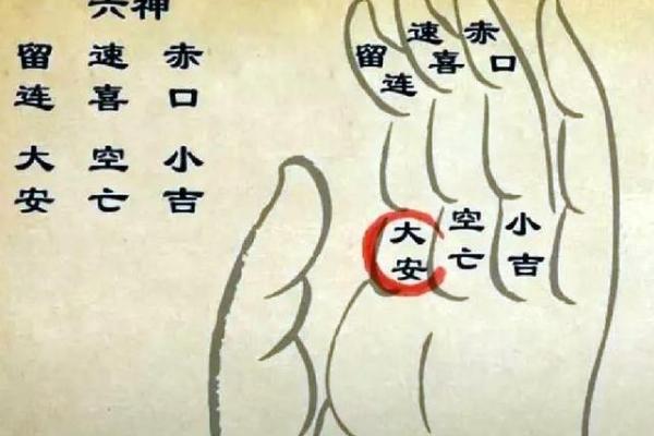 诸葛亮教你算命怎么样