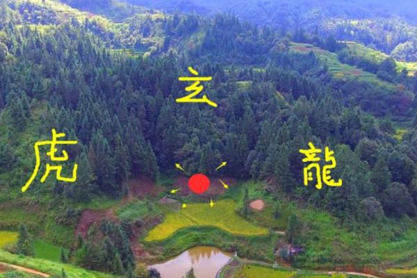 山的风水_每座山都有龙脉吗