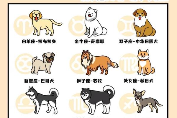 12星座狗,12星座谁最凶