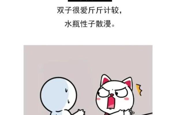 水瓶座跟双子星座配吗男生