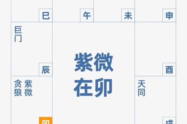 紫薇斗数文昌星