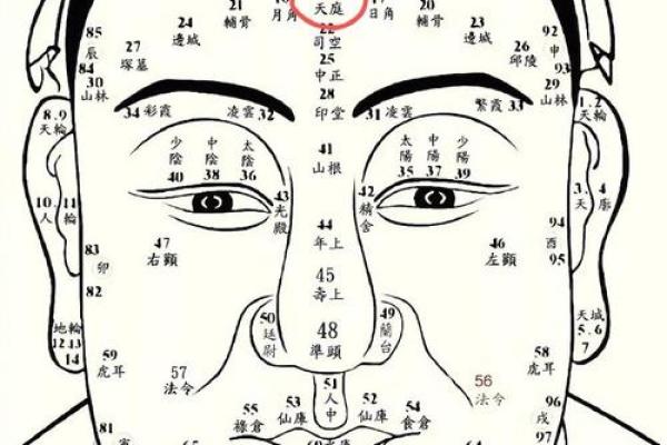 26种面型算命图解 26种面型算命图解