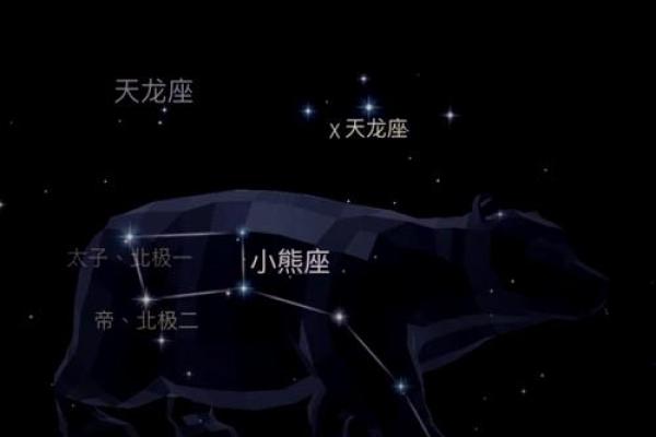 天龙座是银河系里面的星座吗