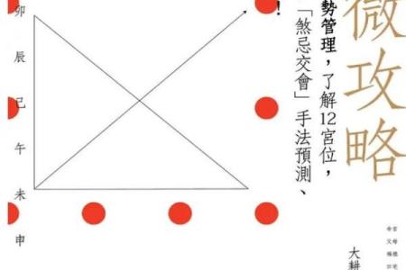 紫薇斗数案例书籍