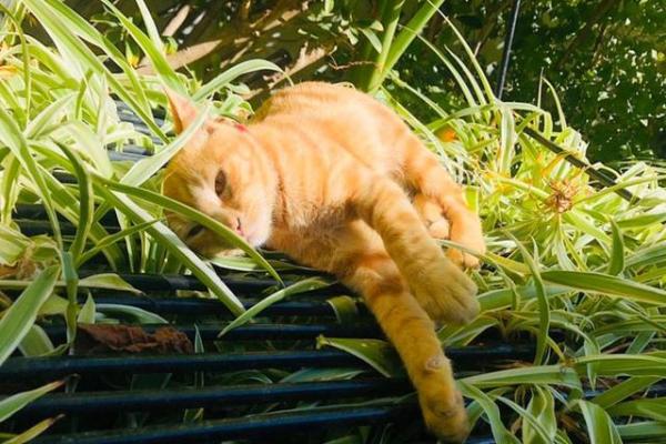 算命要我晒太阳