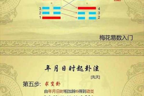 梅花易数怎么给人算命 梅花易数怎么给人算命
