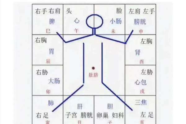 紫微斗数术语解释之：强宫、弱宫