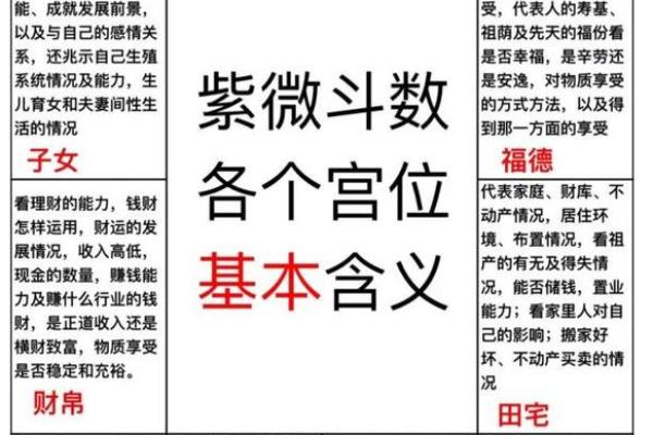 紫薇斗数星星详解 紫薇斗数星星详解