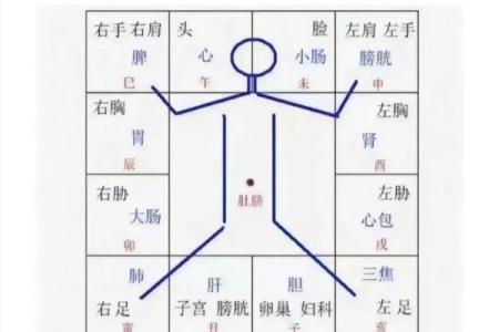 紫微斗数术语解释之：强宫、弱宫