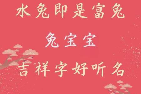 中午出生属兔的男孩应该怎么样取名字呢？姓名