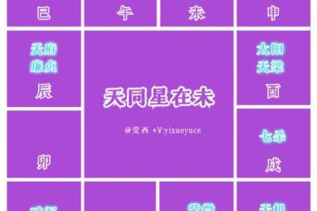 紫微斗数诸星落诸宫之：天同星子女宫详解