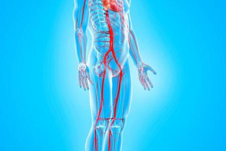 知识：人体如何感知影响风水的