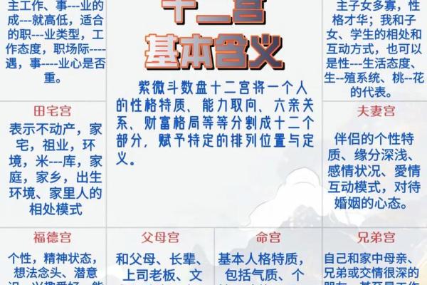 紫微斗数紫薇在兄弟宫怎么解读