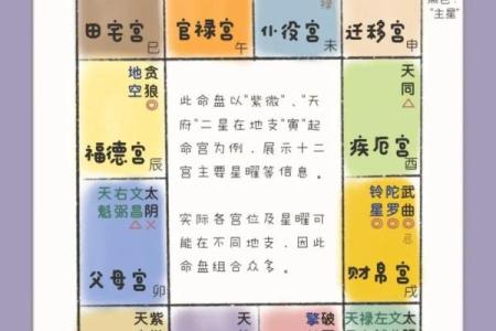 紫薇斗数定盘多少钱
