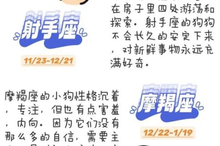 狗的十二星座性格特点大全