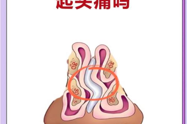 为什么说大鼻子女人不能要风水观点