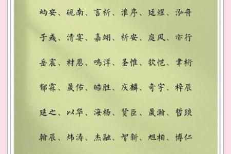 2021年夏至出生缺木男孩名字推荐,怎么取名好姓名