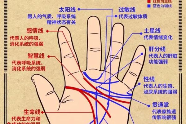 手相“影响线”算命图解