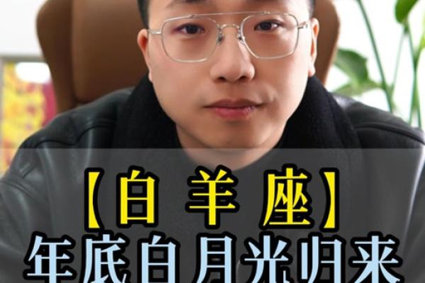 陶白白星座运势之金牛