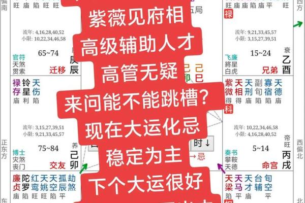 适合自己创业的八字