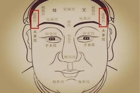 紫薇斗数什么看长相