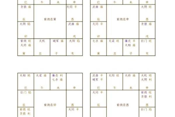 紫薇斗数星曜表