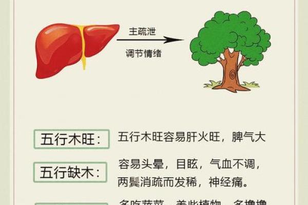 八字缺木如何补救 如何补充八字缺木