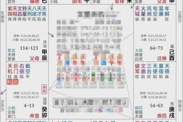 紫薇斗数命盘排盘软件